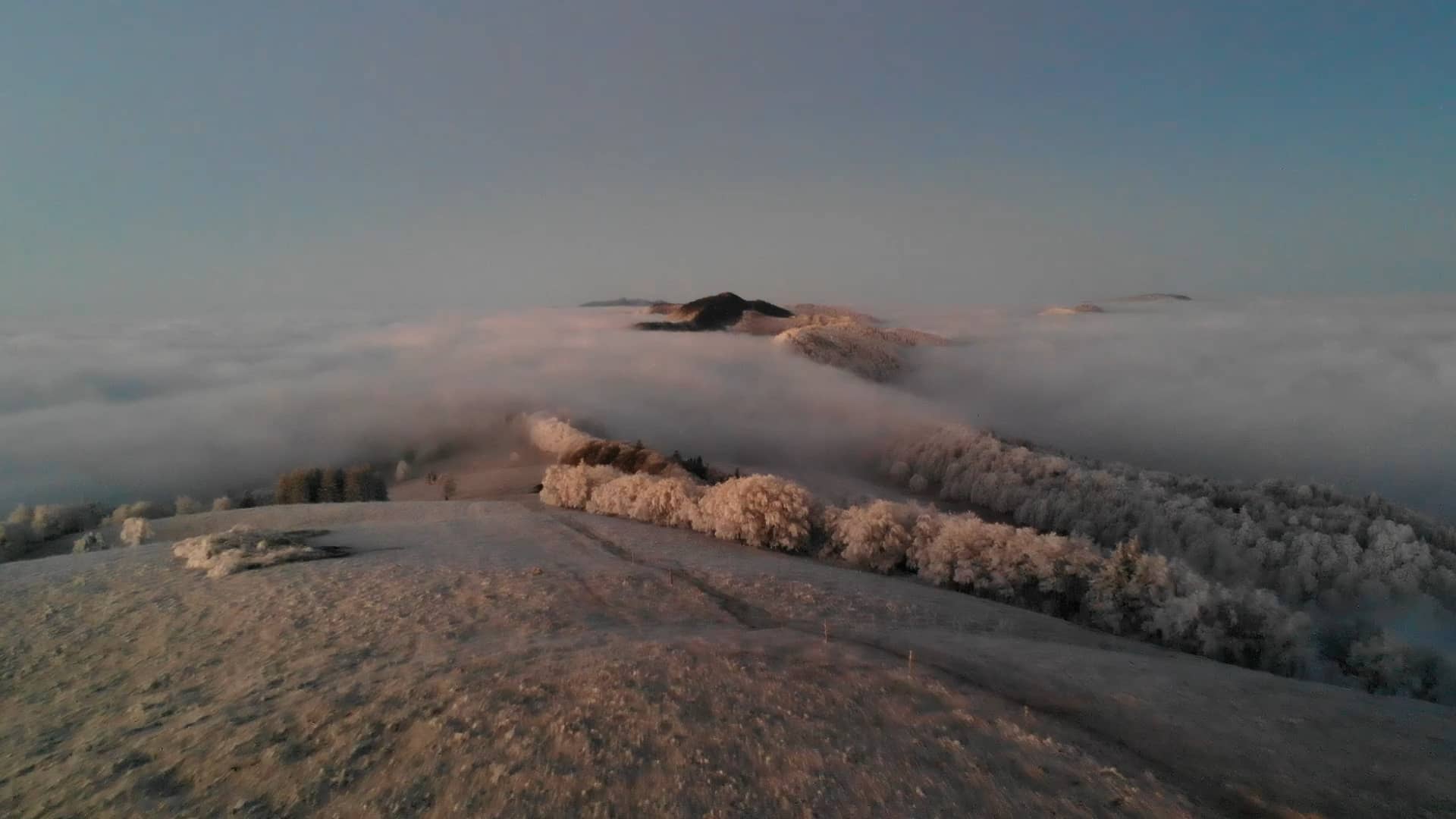 Winter Panorama